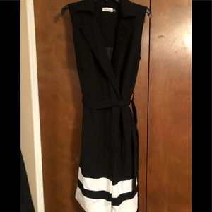 Sleeveless Career Dress